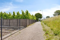 Maasdijk1852691PEsGravenzande-07 (Custom).jpg